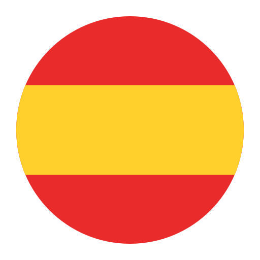 Current language flag