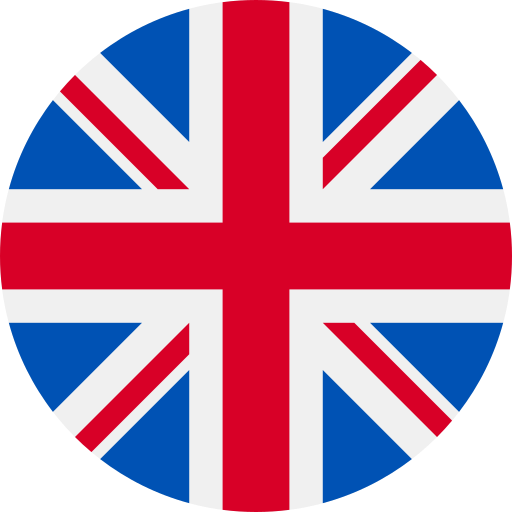 Next language flag